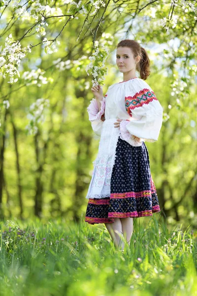 Piękna Dziewczyna Sukience Folklor Słowacki — Zdjęcie stockowe