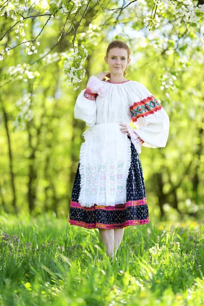 Krásná Dívka Šatech Slovenského Folkloru — Stock fotografie