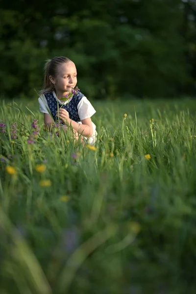 Outdoor Portrait Beautiful Little Girl — Stock Photo, Image