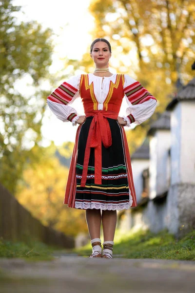 Szlovák Folklór Szlovák Népi Lány — Stock Fotó