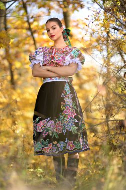 Geleneksel kostümlü, güzel, Slovak folklor kadını.