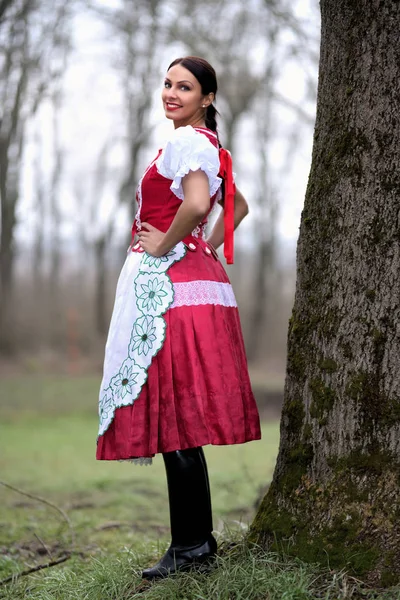 Joven Hermosa Eslovaca Traje Tradicional —  Fotos de Stock