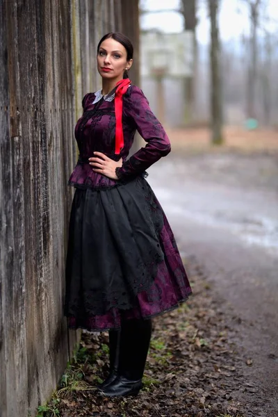 Jovem Bela Mulher Eslovaca Traje Tradicional — Fotografia de Stock