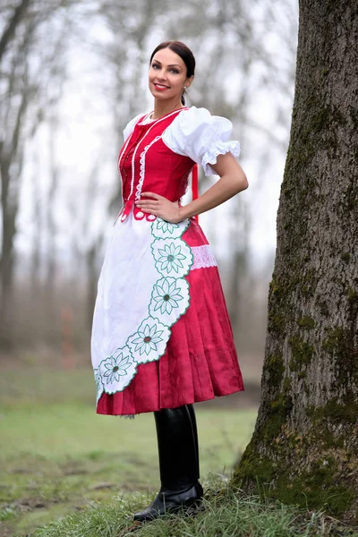 Junge Schöne Slowakin Traditioneller Tracht — Stockfoto