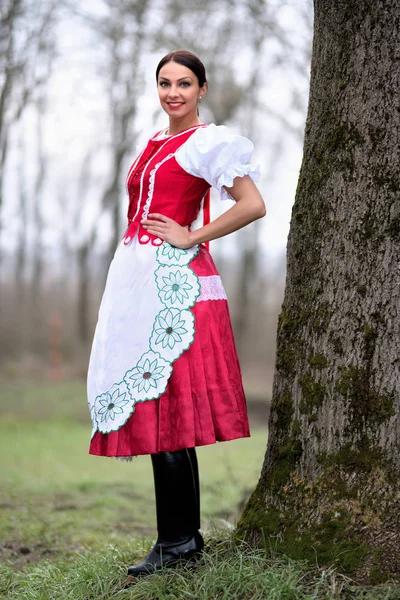 Joven Hermosa Eslovaca Traje Tradicional —  Fotos de Stock