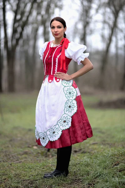 Joven Hermosa Eslovaca Traje Tradicional — Foto de Stock