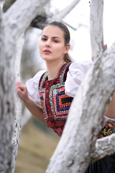 Jovem Bela Mulher Eslovaca Traje Tradicional — Fotografia de Stock