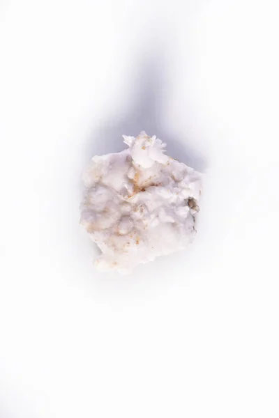 Ferro Fiore Minerale Aragonit Sfondo Bianco — Foto Stock