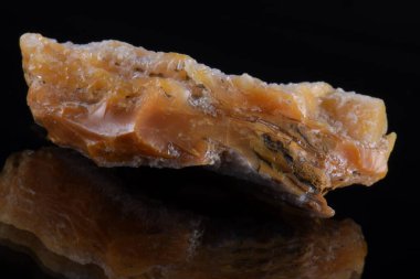 Povraznik 'ten ahşap opal, orta Slovakya.