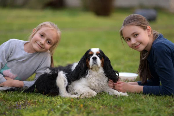 Les Filles Avec Leur Chien Dans Parc — Photo