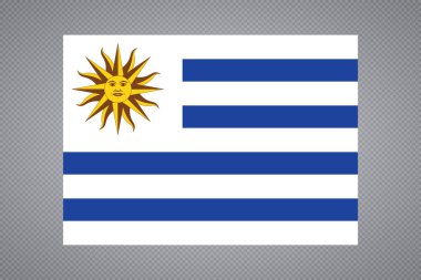 Uruguay bayrağı grunge arka plan. Tasarım ülke bayrağı için arka plan