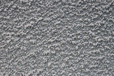 Bu benim evimin duvarı. 25 Şubat 2020