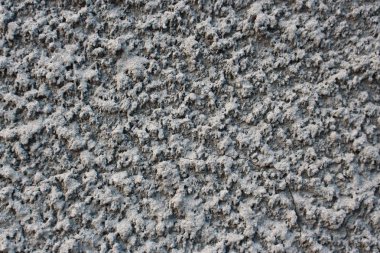 Bu benim evimin duvarı. 25 Şubat 2020