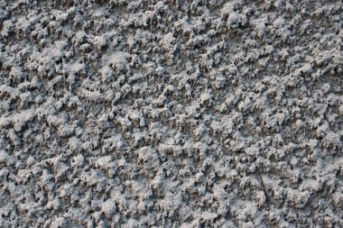 Bu benim evimin duvarı. 25 Şubat 2020