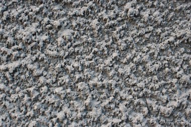 Bu benim evimin duvarı. 25 Şubat 2020