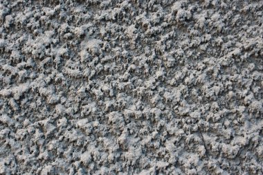 Bu benim evimin duvarı. 25 Şubat 2020