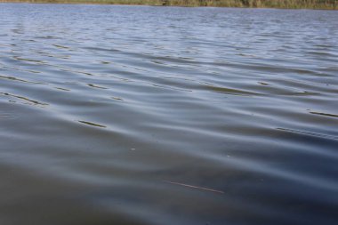 Nehir akıyor, sessizlik özgür, küçük dalgalar.