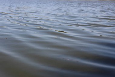 Nehir akıyor, sessizlik özgür, küçük dalgalar.