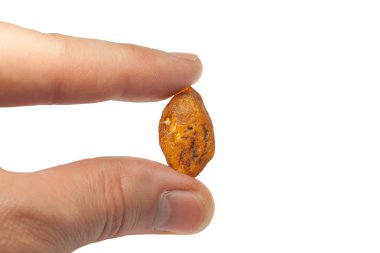 büyük parça Amber