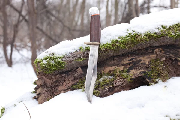 Cuchillo de caza afilado — Foto de Stock