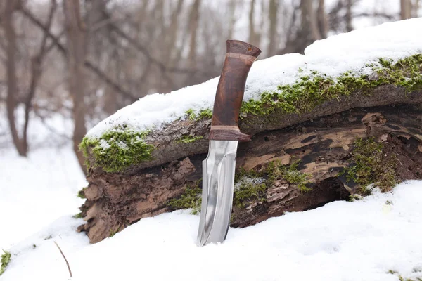 Sharp hunting knife — Stock Photo, Image