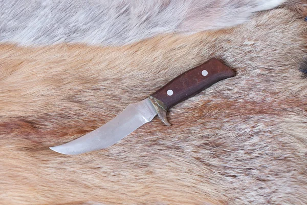 Cuchillo de caza afilado — Foto de Stock