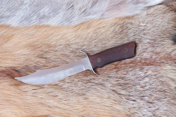 Cuchillo de caza afilado — Foto de Stock