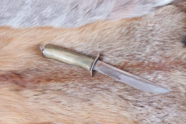 Гострі полювання ножів — стокове фото
