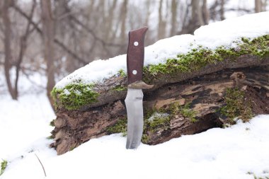 av bıçağı keskin