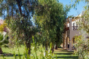 Korfu 'da tatil. Hareket halindeki otobüsten yaz boyunca Korfu Adası manzarası. Yunanistan