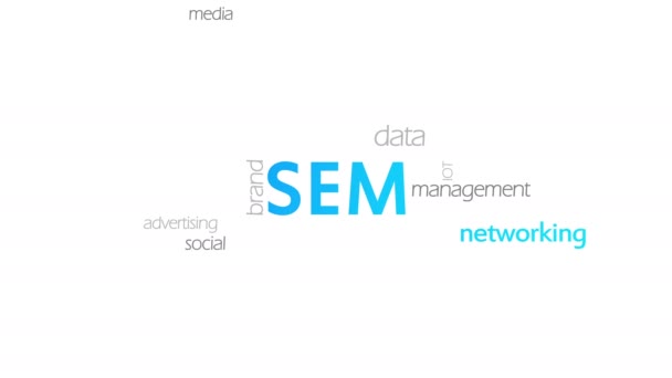 Sem, search engine marketing — Stock video