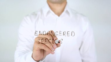 Tehlike altındaki türler, adam cam üzerine yazma