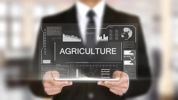 Agricultura, interface futurista do holograma, realidade virtual aumentada — Fotografia de Stock