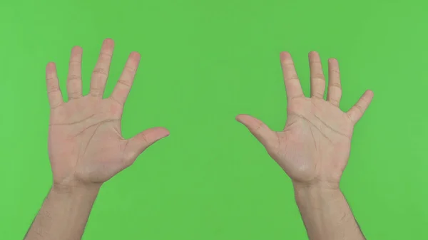 Beide Hände zeigen alle Finger auf Green Chroma Key — Stockfoto