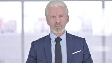 Ciddi Eski İş Adamının Portresi Kameraya Bakıyor