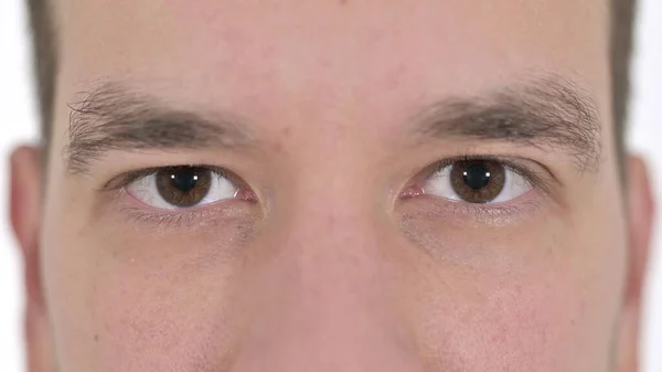 Közelkép pislogó szeme fiatal férfi Nézi a kamera, fehér háttér — Stock Fotó