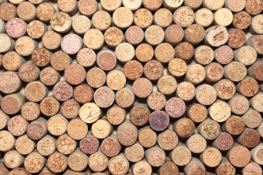 birçok farklı şarap mantarlar planda kullanılan