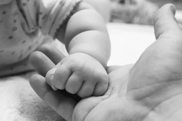 Lilla barnets hand i hand av vuxen förälder närbild / svartvitt foto i retrostil — Stockfoto