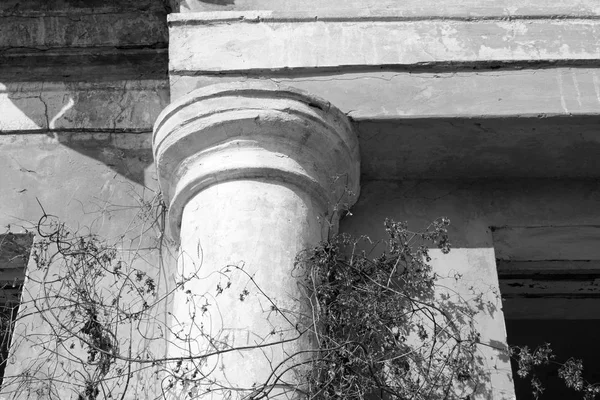 Ancienne colonne gros plan / photo noir et blanc — Photo