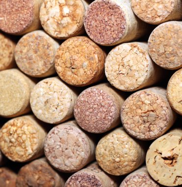 Birçok farklı şarap mantarlar duvarına. Şarap mantarlar closeup. Cork şarap yakın çekim.