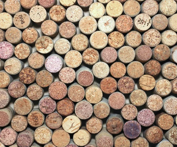 Muchos corchos de vino diferentes — Foto de Stock