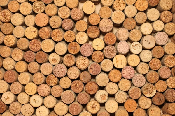 Många olika vin korkar — Stockfoto