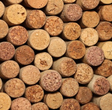 birçok farklı şarap mantarlar