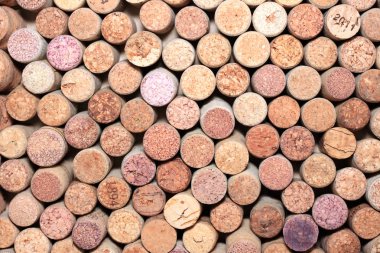 birçok farklı şarap mantarlar