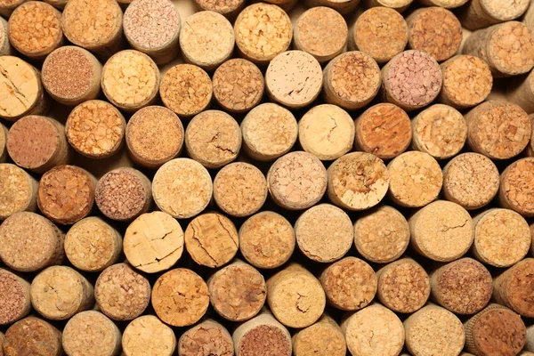Parede de muitas rolhas de vinho diferentes — Fotografia de Stock