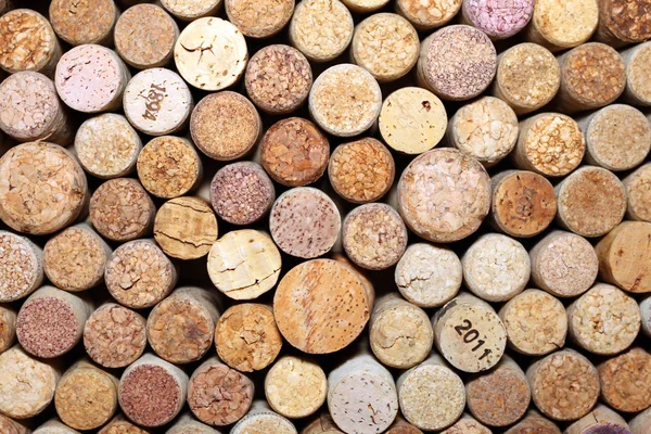 Pared de muchos corchos de vino diferentes — Foto de Stock