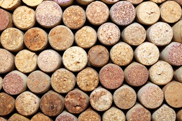 Vägg av många olika vin korkar — Stockfoto