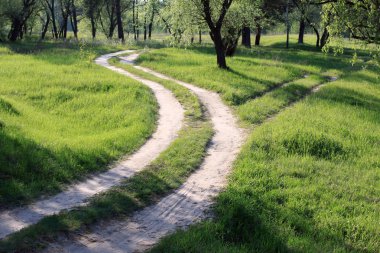 Erken yaz yeşil çim arka plan üzerinde kırsal yol