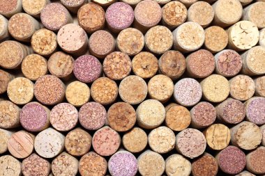 Şarap mantarlar arka plan yatay