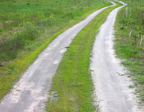 Estrada de terra em verão em um campo entre grama — Fotografia de Stock